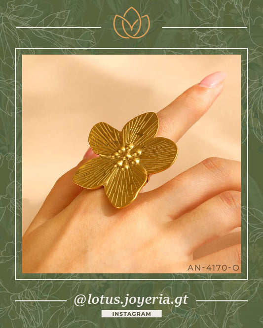 Anillo > ESENCIALES > AN-4170-O