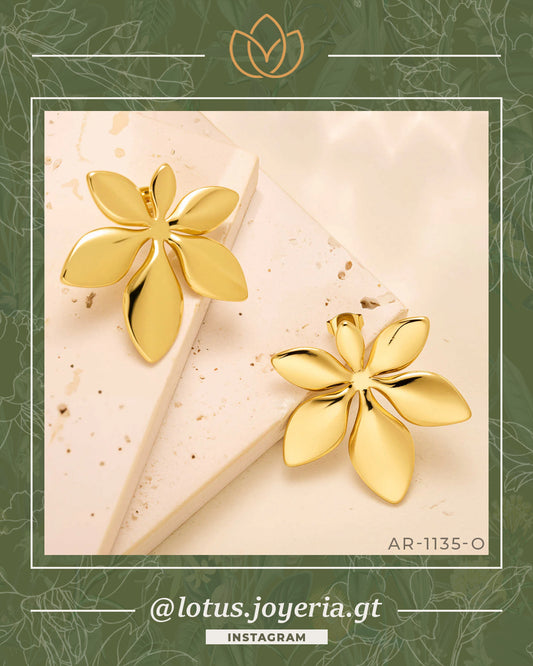 Aretes | 50% OFF! > Y