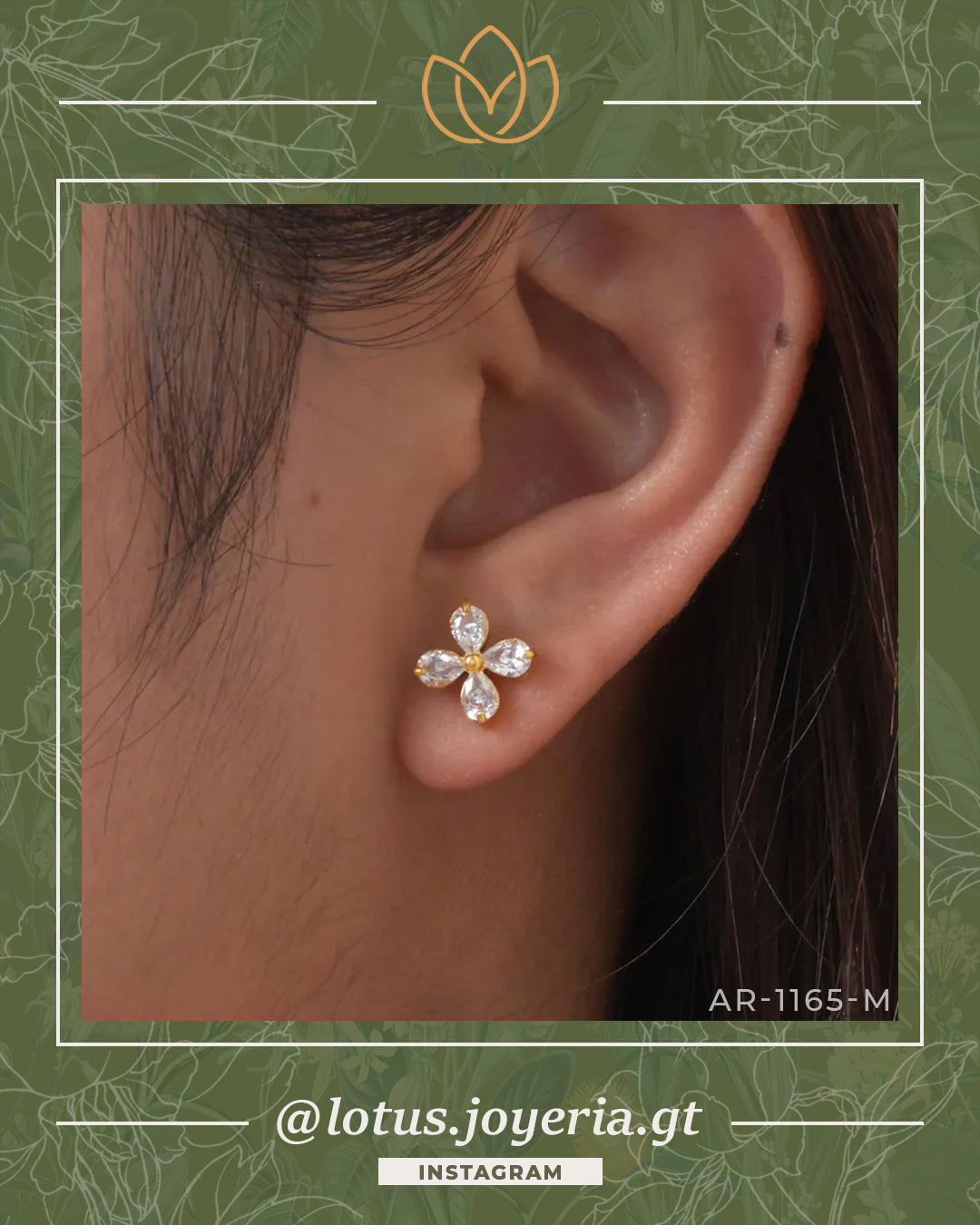 Aretes > PREMIUM