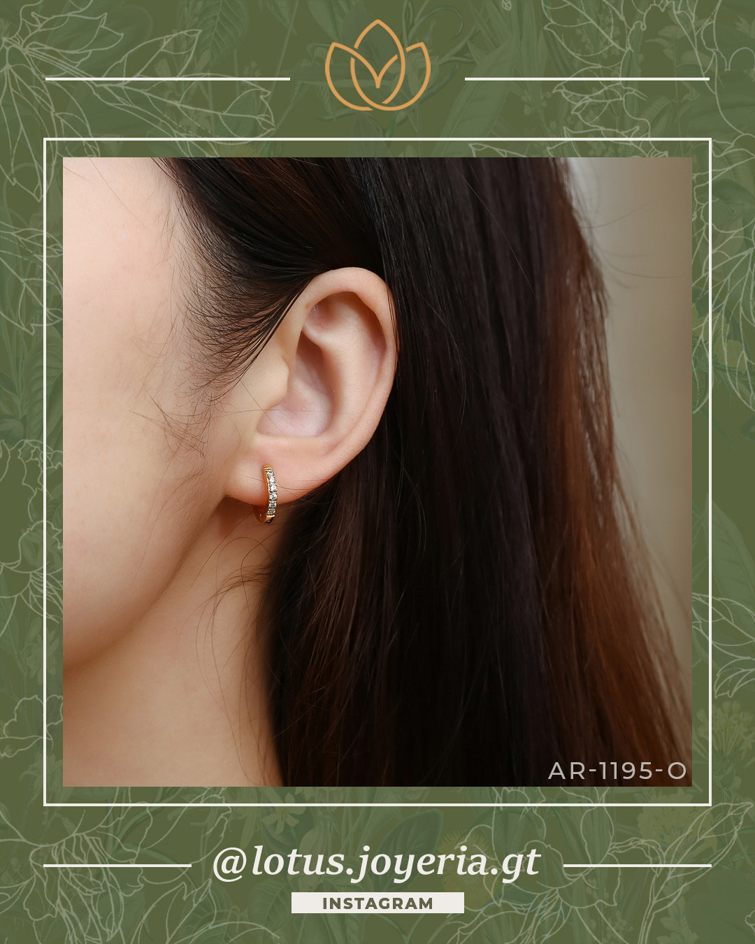 Aretes > PREMIUM