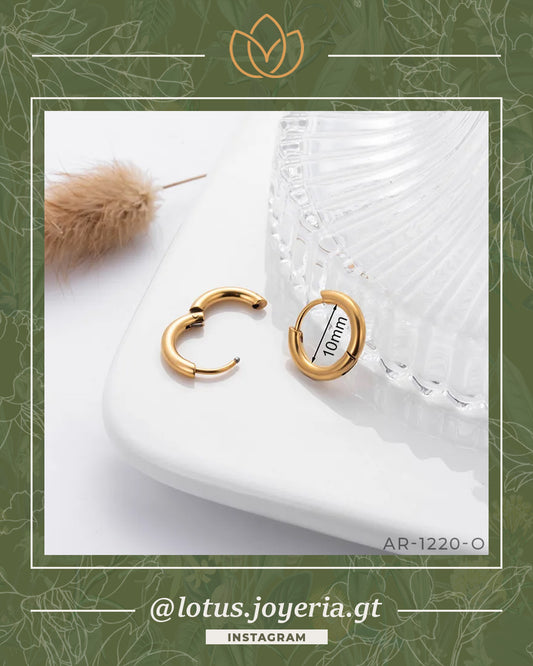 Aretes | 30% OFF! > ESENCIALES > AR-1220-O