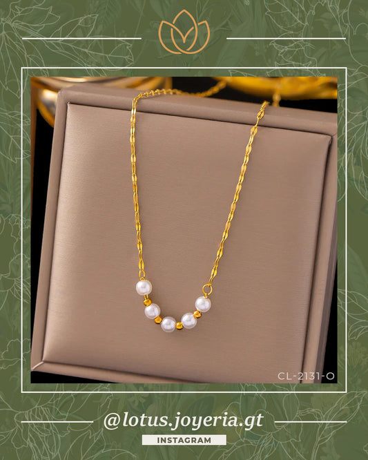 Collar | 50% OFF! > Y