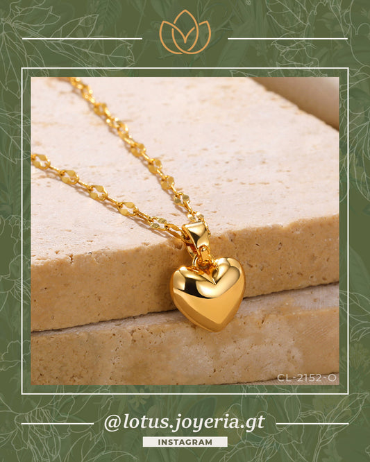 Collar | 50% OFF! > Y