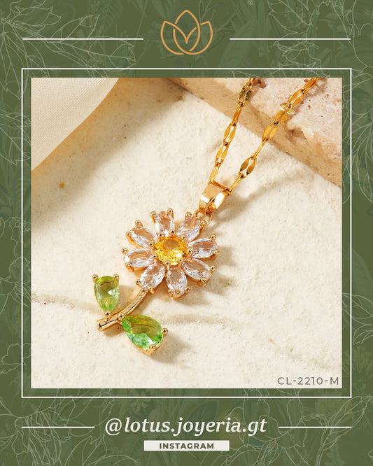 Collar | 50% OFF! > Y