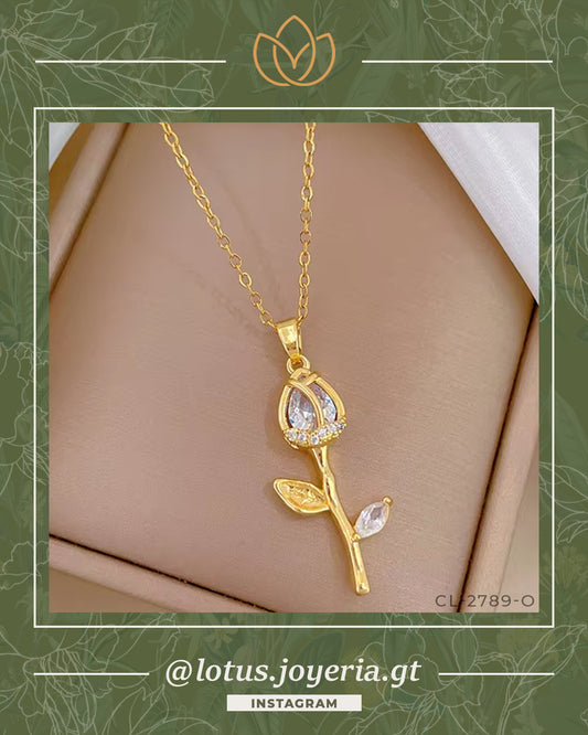 Collar | 50% OFF! > Y